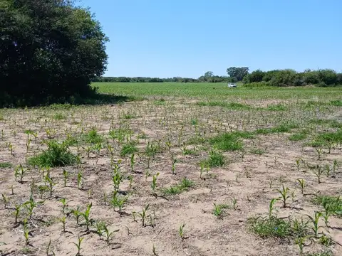 Campo en Venta en Ischilin, Ischilín