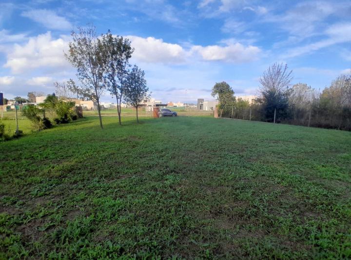 Terreno · 1297m²
