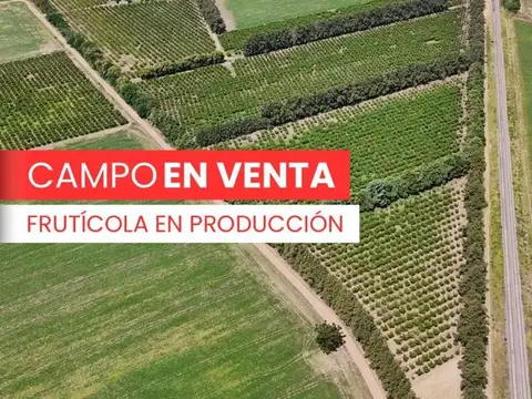 Campo en Venta en San Pedro, Partido de San Pedro