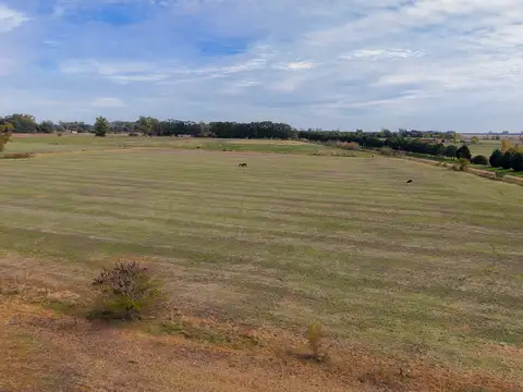 Campo en Venta en San Andres de Giles, Partido de San Andrés de Giles
