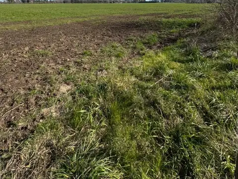 Campo en Venta en Cortines, Partido de Luján