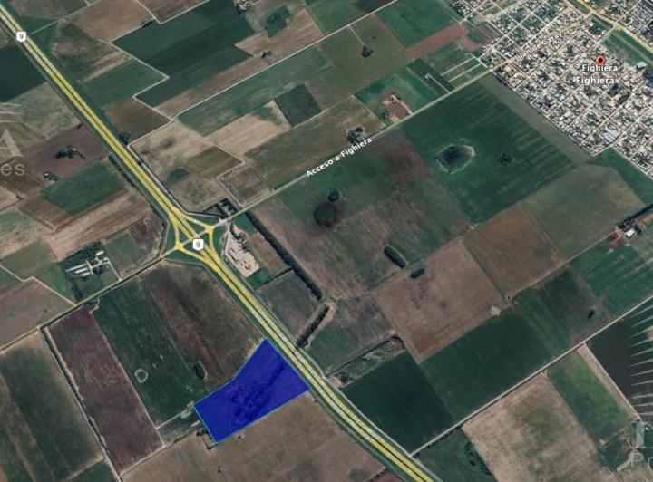 Campo · 120000ha
