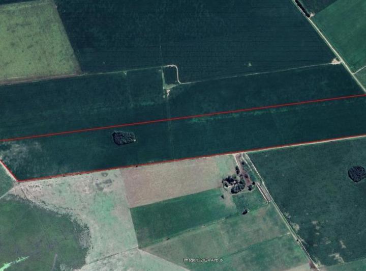 Campo · 300000m²