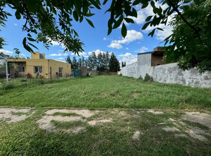 Terreno · 486m²