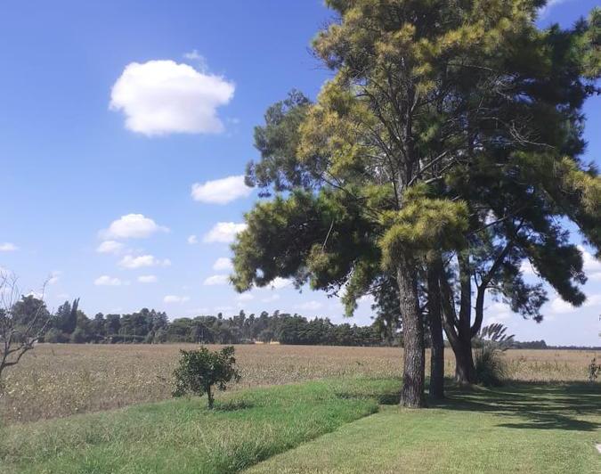 Campo · 30000ha