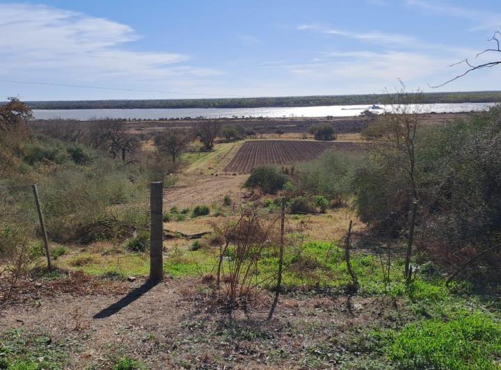 Campo · 1100m²