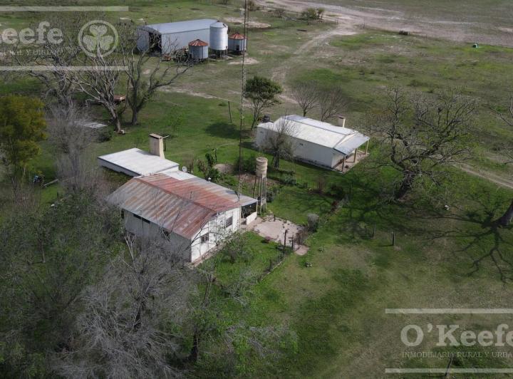Campo · 1200m² · 3 Ambientes