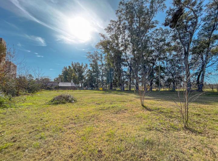 Terreno · 296m²