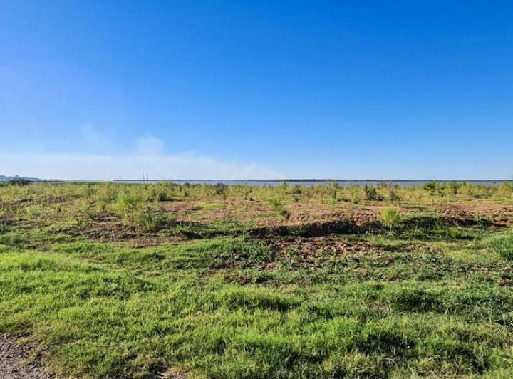 Terreno · 700m²