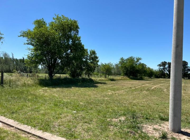 Terreno · 562m²