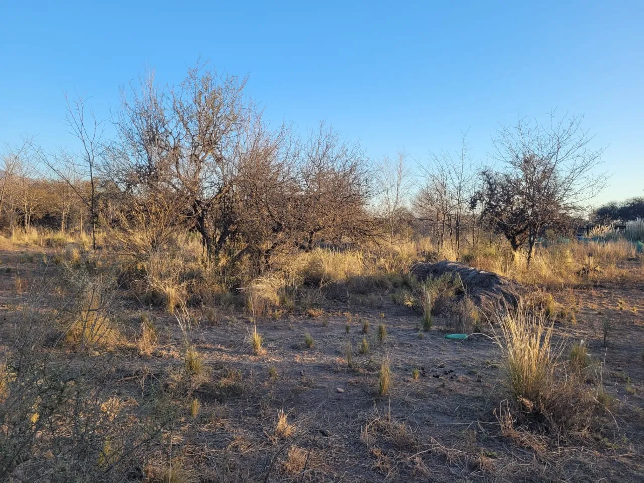 Terrenos en venta en Nono