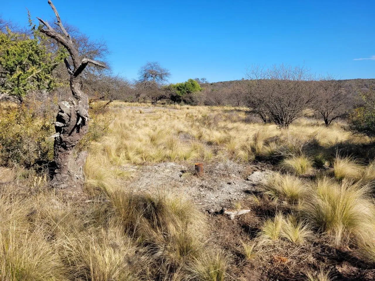 Terreno en venta en Nono