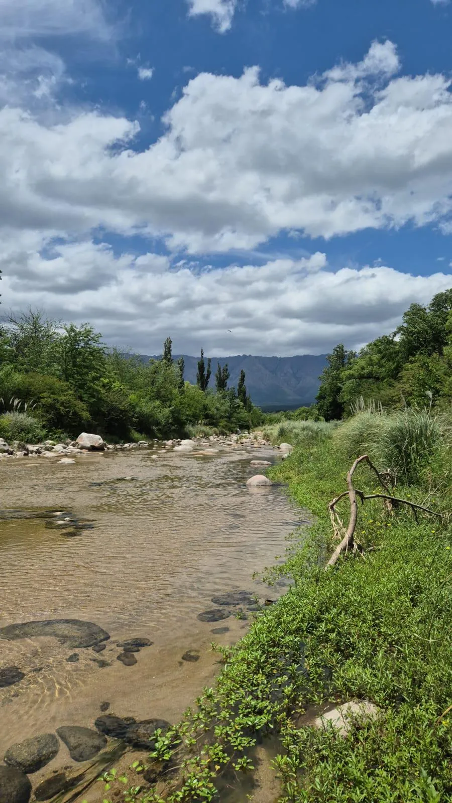 Alquiler temporal de cabañas en Nono
