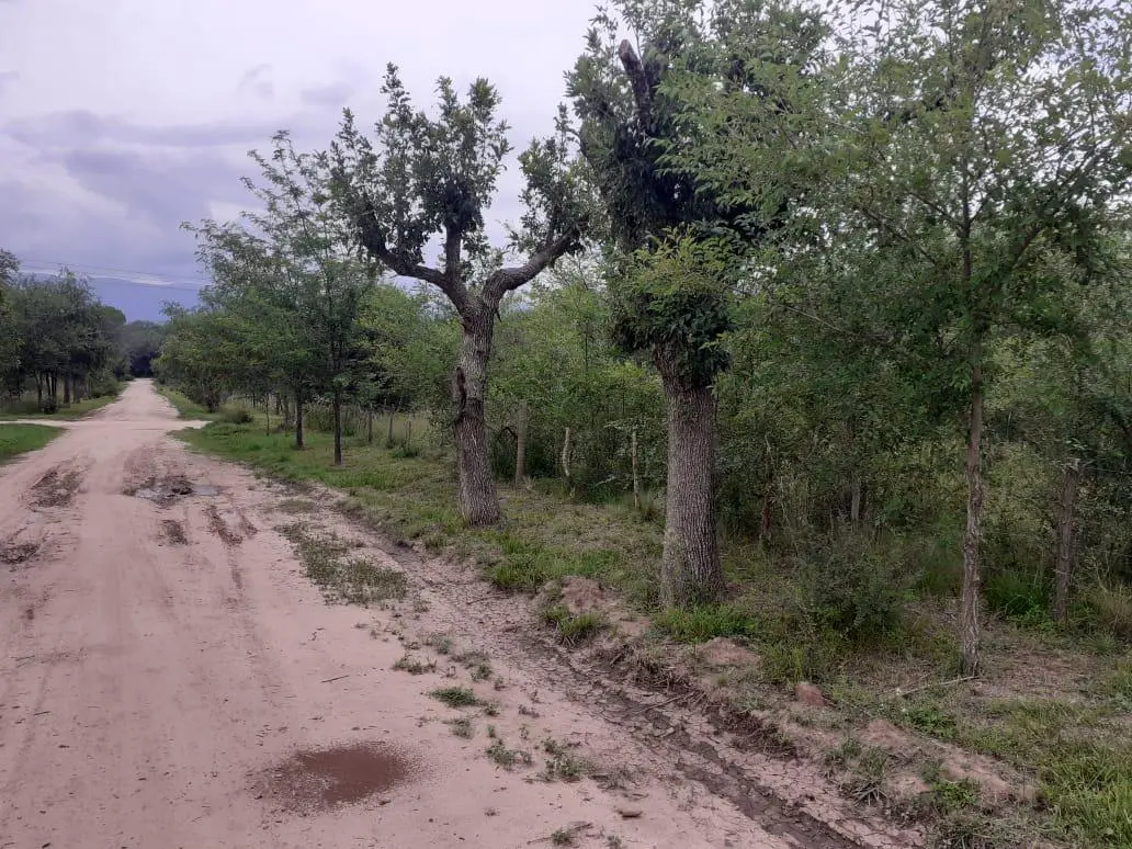Terreno en venta en Nono