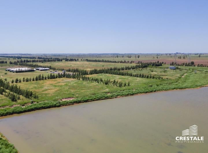 Campo · 10000m²