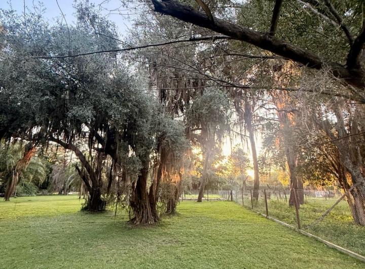 Terreno · 501m²