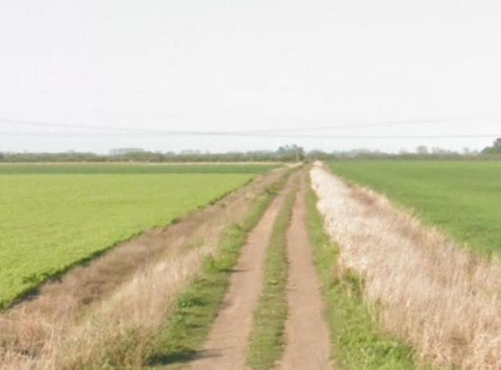 Campo · 100000ha