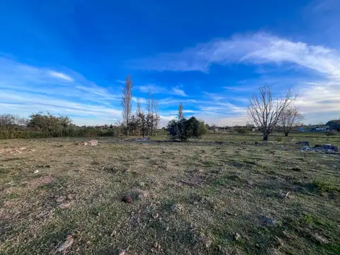 Terreno en Venta en Victoria, Entre Ríos