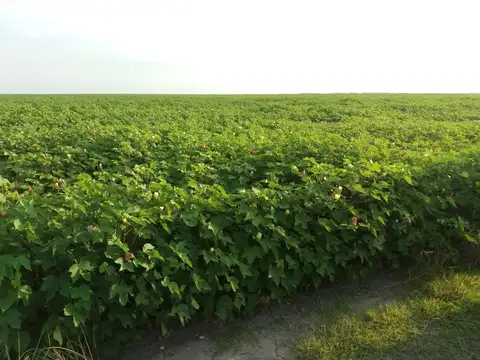 Campo en Venta en Intiyaco, Vera