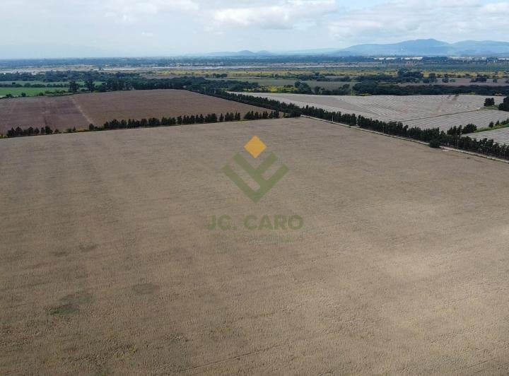 Campo · 2200000ha