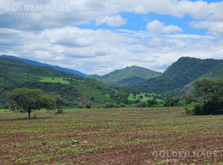 Campo · 27000000ha