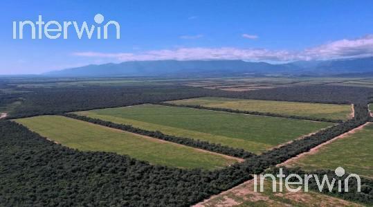 Campo · 8380000m²