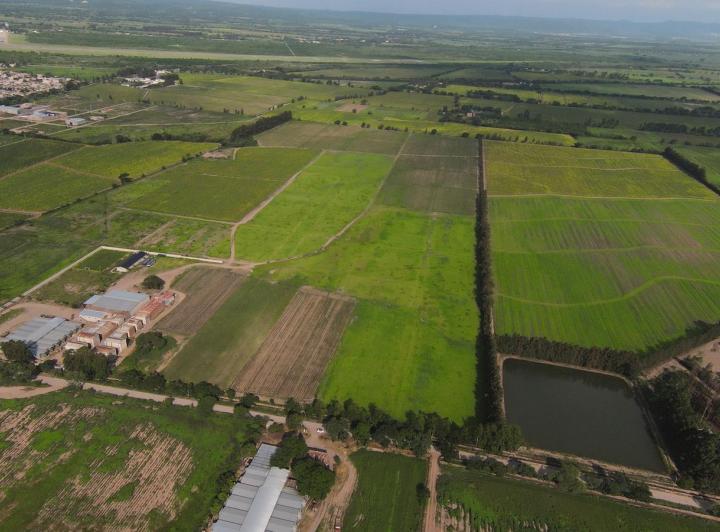 Terreno · 10540m²
