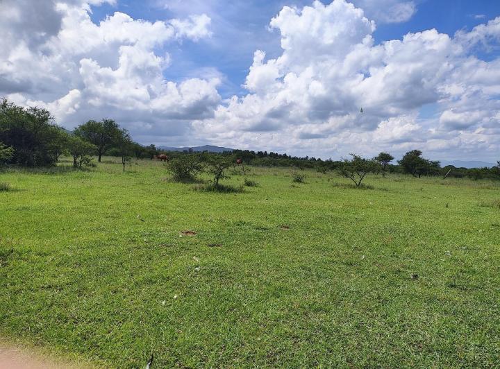 Terreno · 2600m²