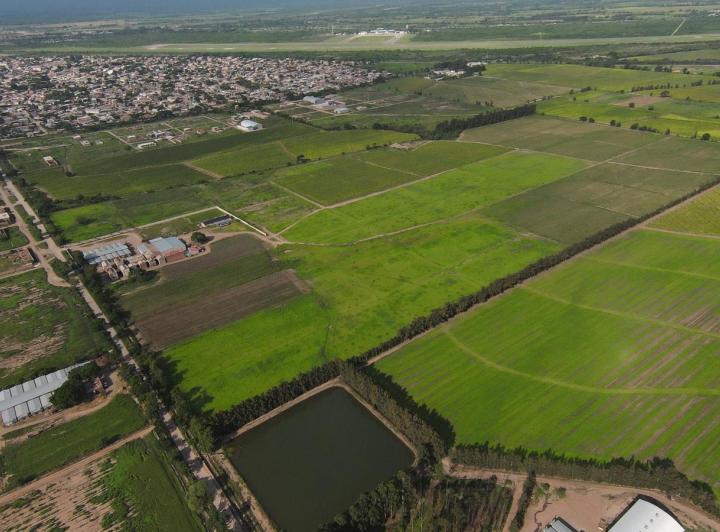 Terreno · 10540m²