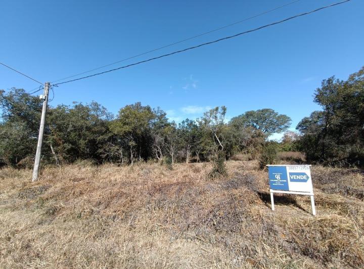 Terreno · 2600m²
