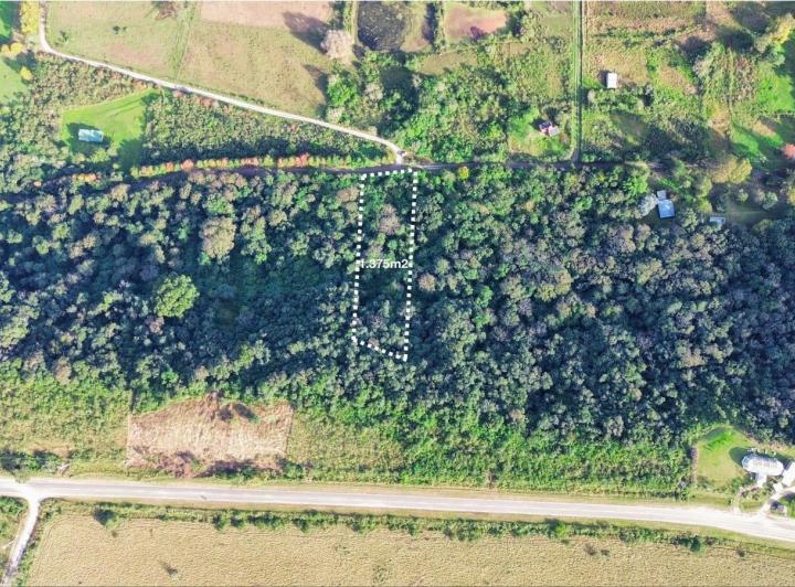 Terreno · 1375m²