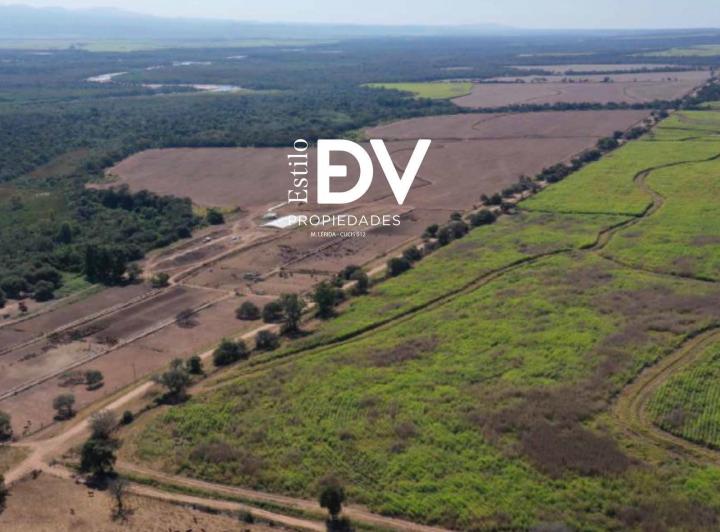 Campo · 60000000m²