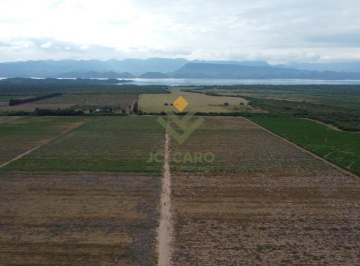 Campo · 4000000ha