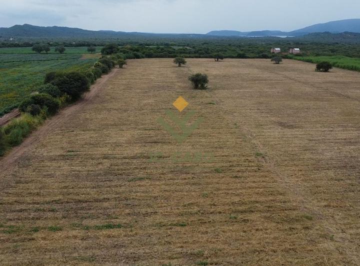 Campo · 570000ha