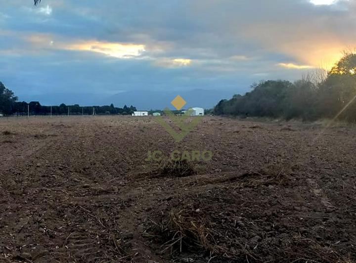 Campo · 30000ha