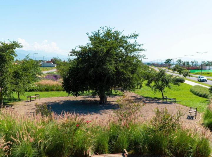 Terreno · 324m²