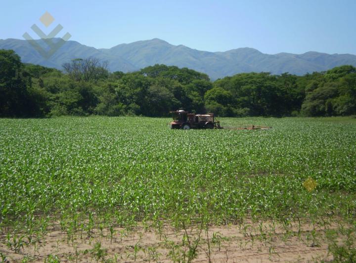 Campo · 1000000ha