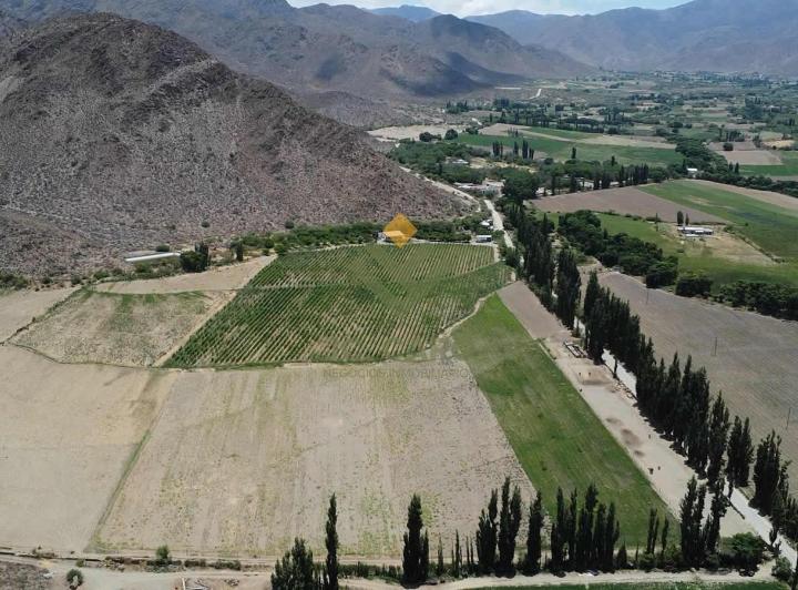 Campo · 130000ha