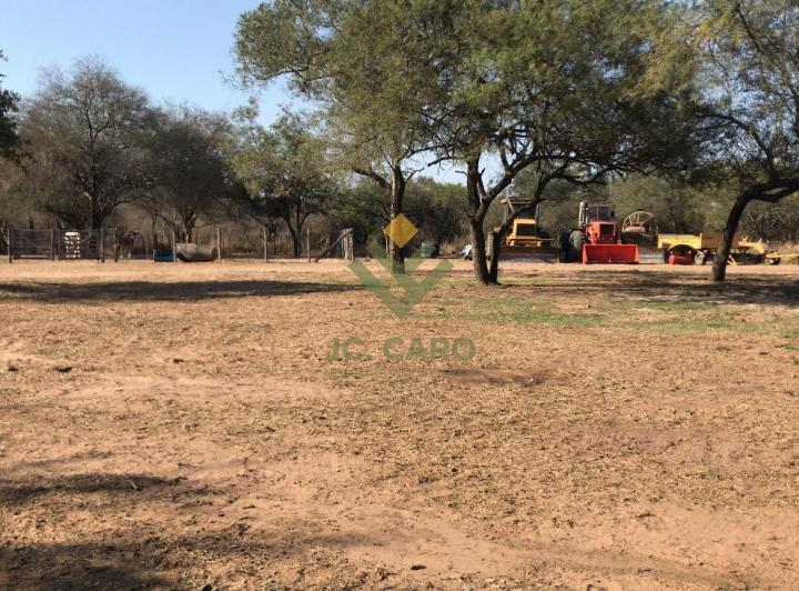 Campo · 31000000ha