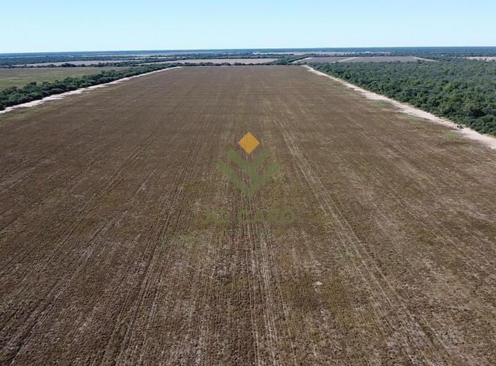 Campo · 5000000ha