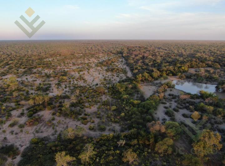Campo · 21040000ha