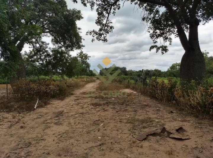 Campo · 170000000ha