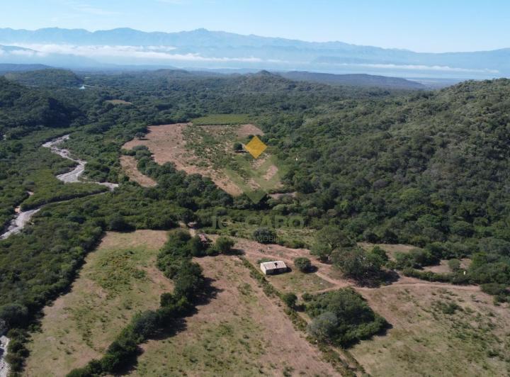 Campo · 13800000ha
