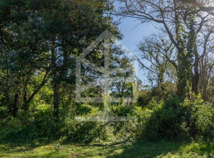 Terreno · 1033m²