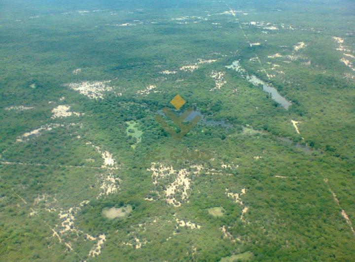 Campo · 52700000ha