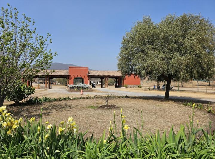 Terreno · 1205m²