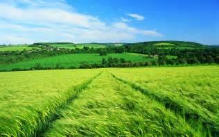 Campo · 8000ha