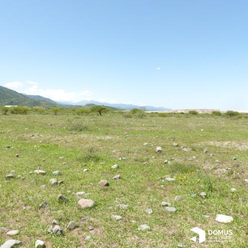 Terreno · 15000m²