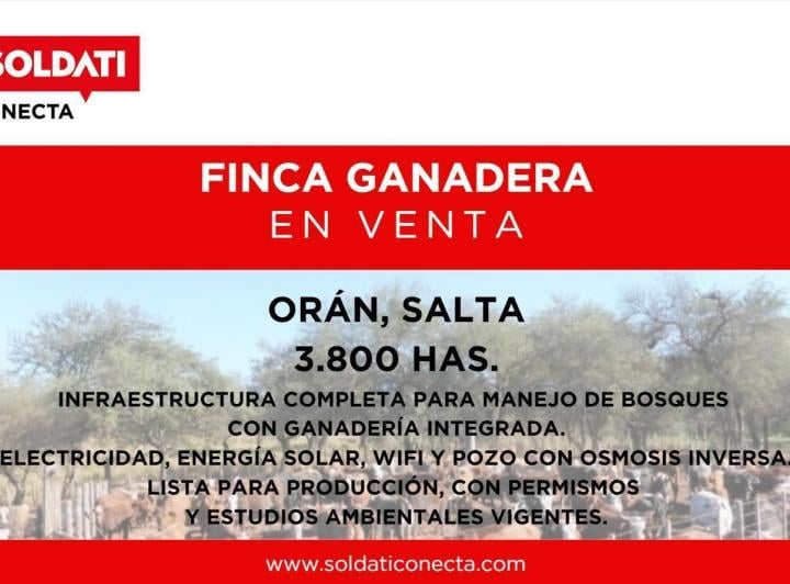 Campo · 38000000m²