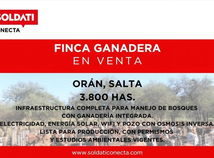 Campo · 38000000m²